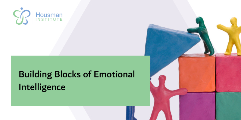 Building Blocks of Emotional Intelligence